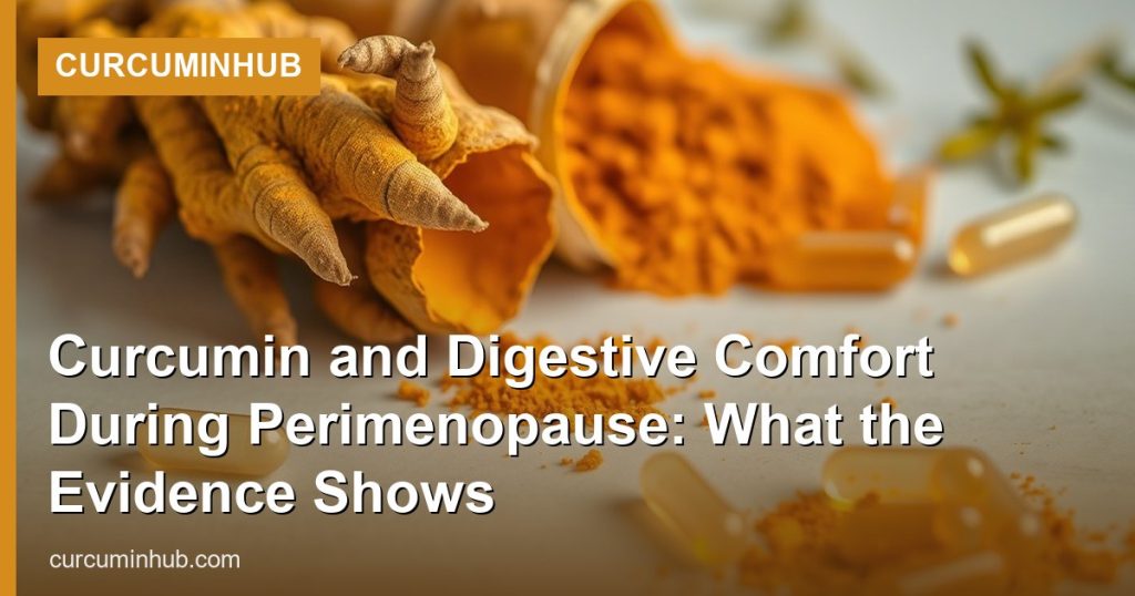 Curcumin and Digestive Comfort During Perimenopause: What the Evidence Shows - CurcuminHub